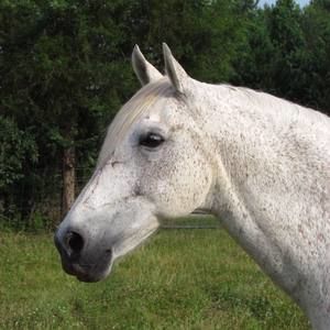 Meet your Posher, Kassie